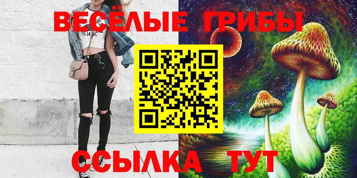 Галлюциногенные грибы Psilocybe Гатчина