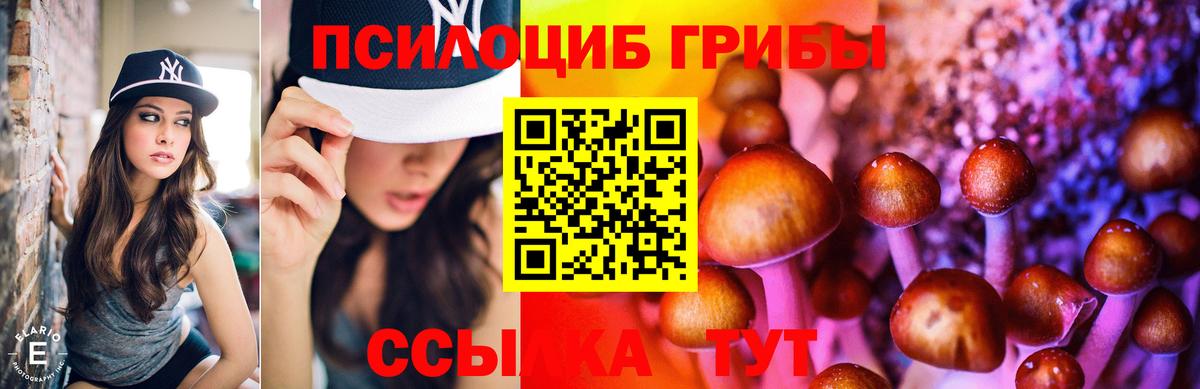 Гатчина  Галлюциногенные грибы GOLDEN TEACHER  Вход с VPN  Псилоцибиновые грибы прущие грибы 